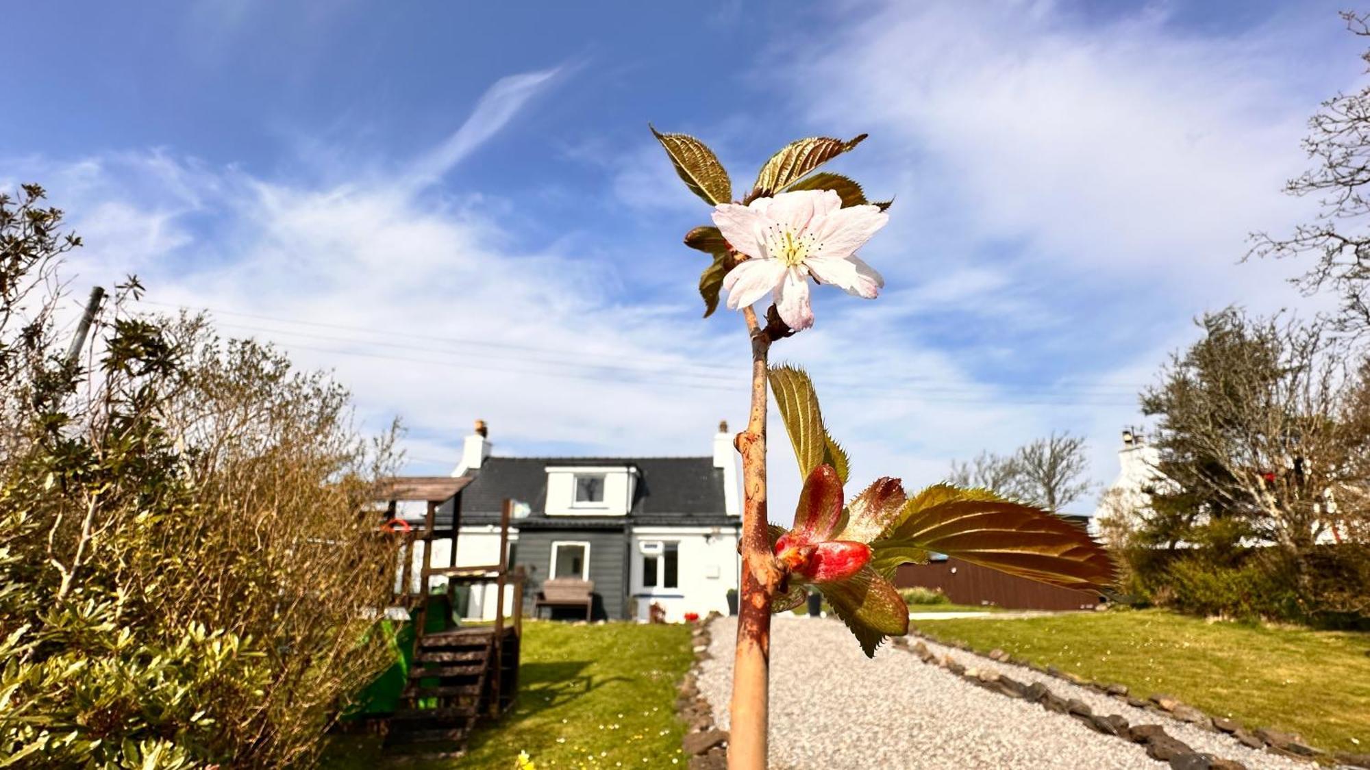 Carnmhor, Isle Of Skye - Stunning 242 Year Old Cottage On Its Own Sea Shore! Breakish Exterior foto